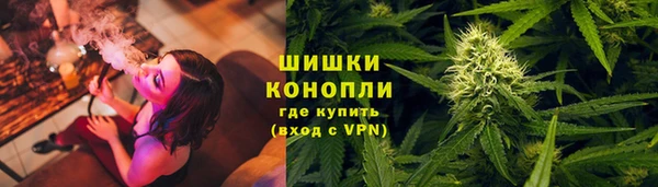 гашик Михайловск