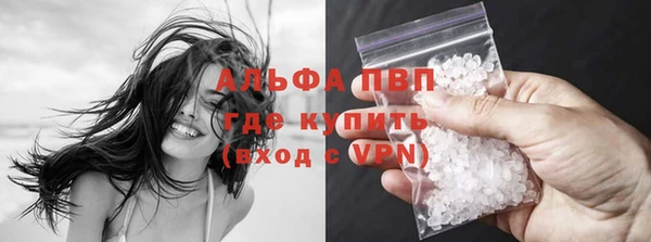 гашик Михайловск
