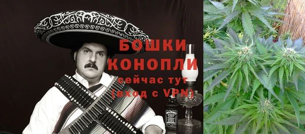 гашик Михайловск