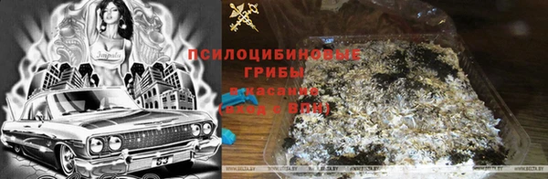 спиды Михайловка