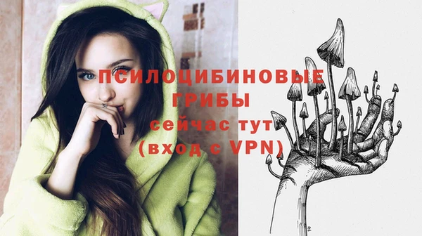спиды Михайловка